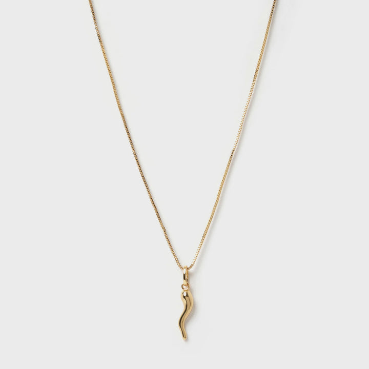Arms Of Eve Cornicello Gold Charm Necklace Large