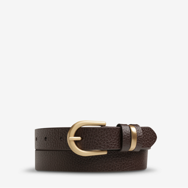Status Anxiety Over And Over Belt - Choc/Gold