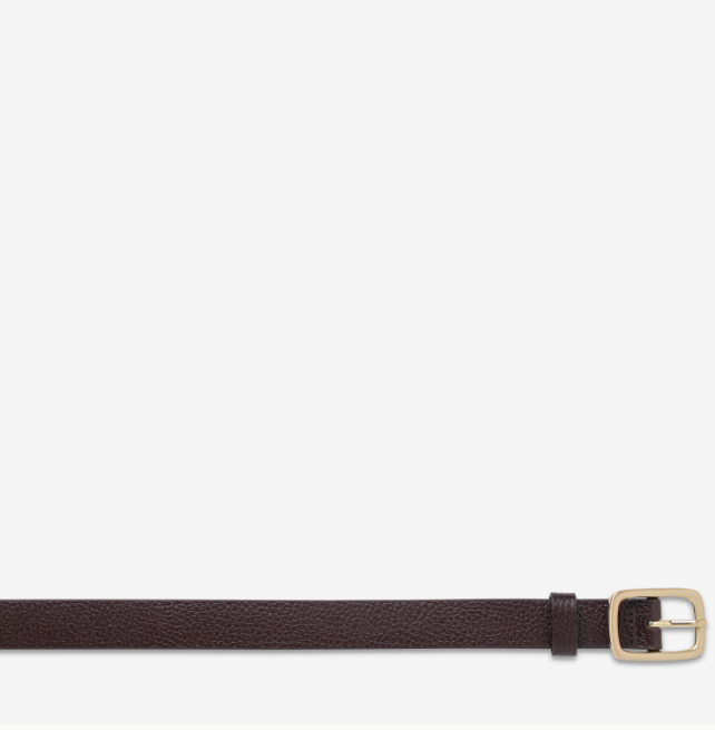 Status Anxiety Nobody's Fault Belt - Choc/Gold