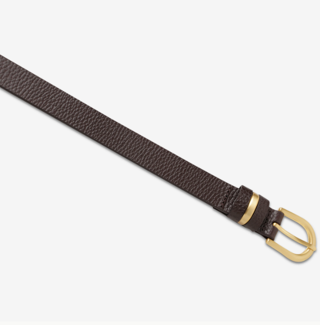 Status Anxiety Over And Over Belt - Choc/Gold