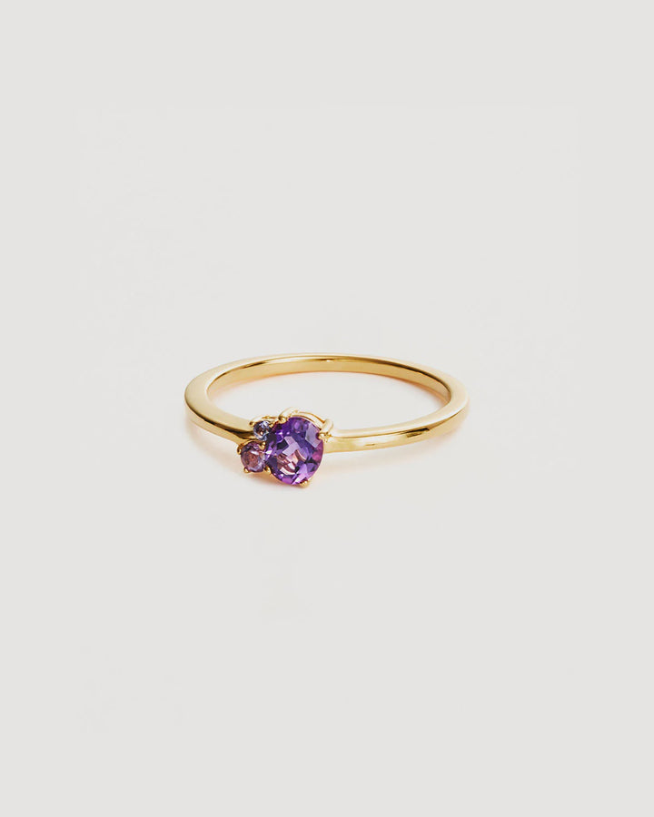 By Charlotte 18k Gold Vermeil Kindred Birthstone Ring-February/Amethyst