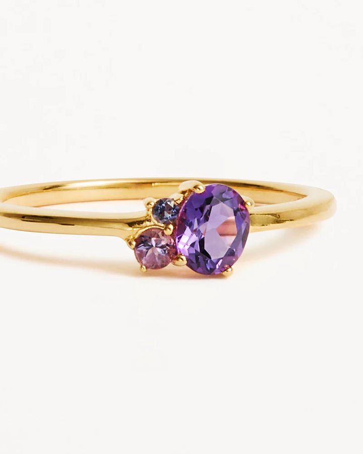 By Charlotte 18k Gold Vermeil Kindred Birthstone Ring-February/Amethyst
