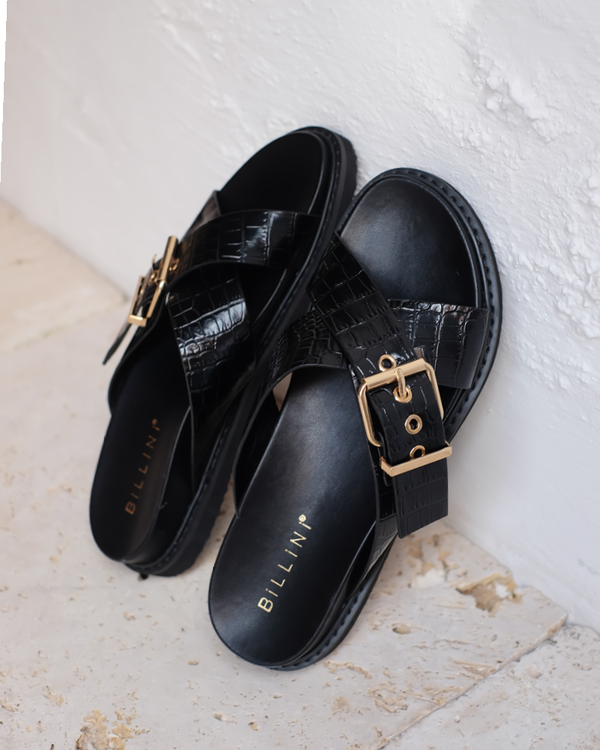 Zayla - Black Croc