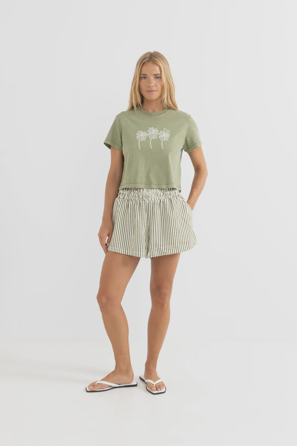 Rhythm Cove Stripe Short-Aloe
