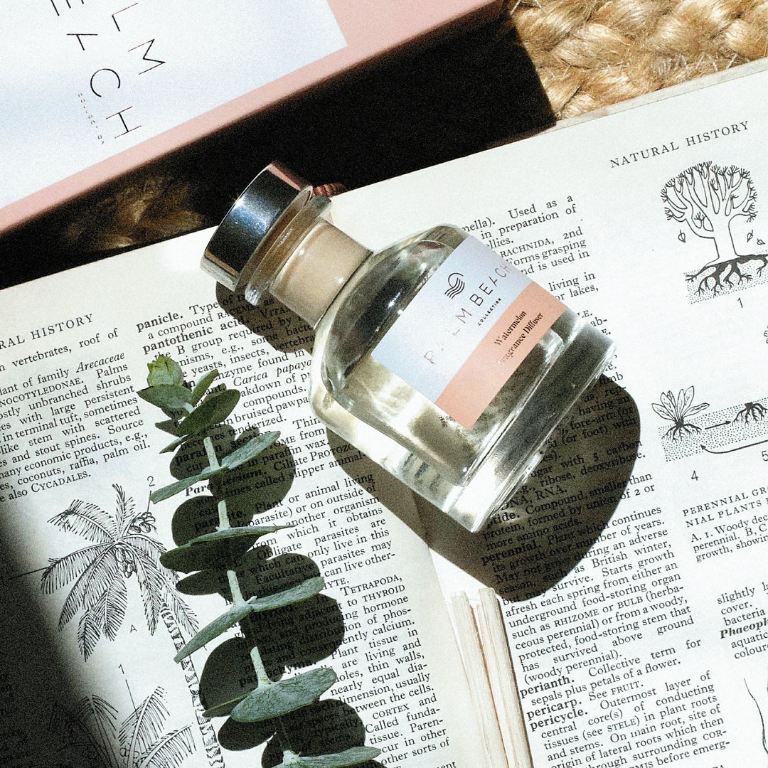 Palm Beach Collection 50ml Mini Fragrance Diffuser - Watermelon