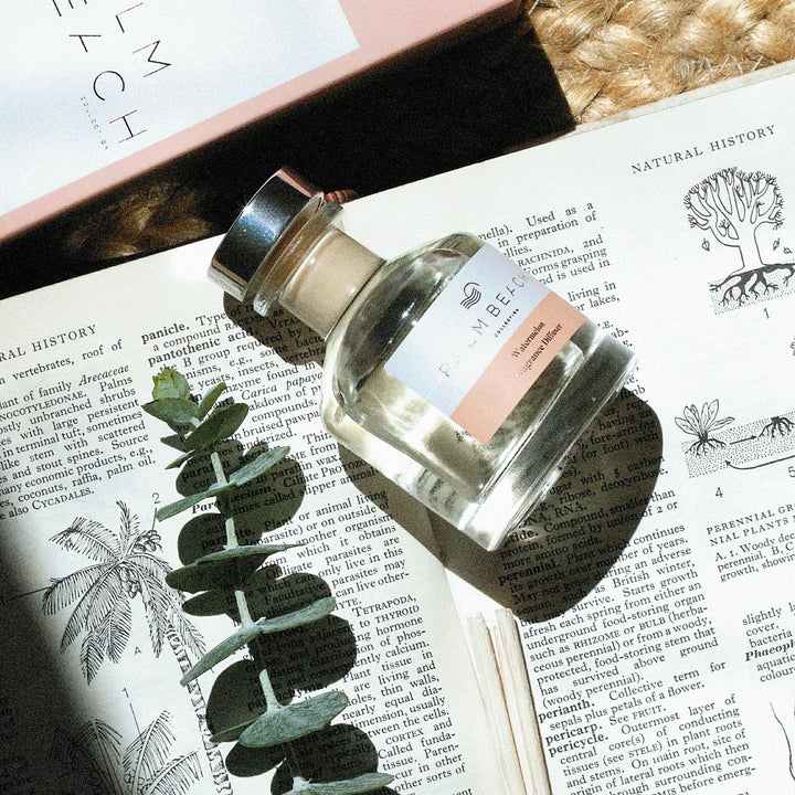 Palm Beach Collection 50ml Mini Fragrance Diffuser - Watermelon