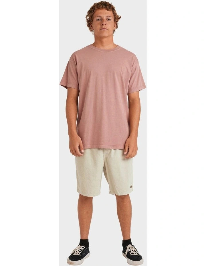 Billabong Premium Wave Wash Tee- Dusty Rose