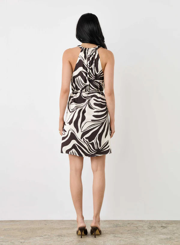 Esmaee Argyle Dress - Argyle