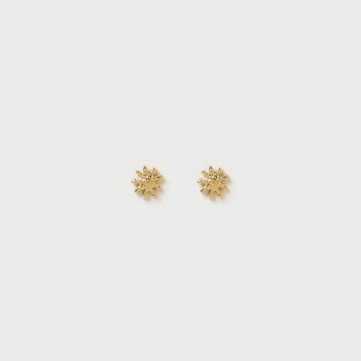 Arms Of Eve Magnolia Gold Studs