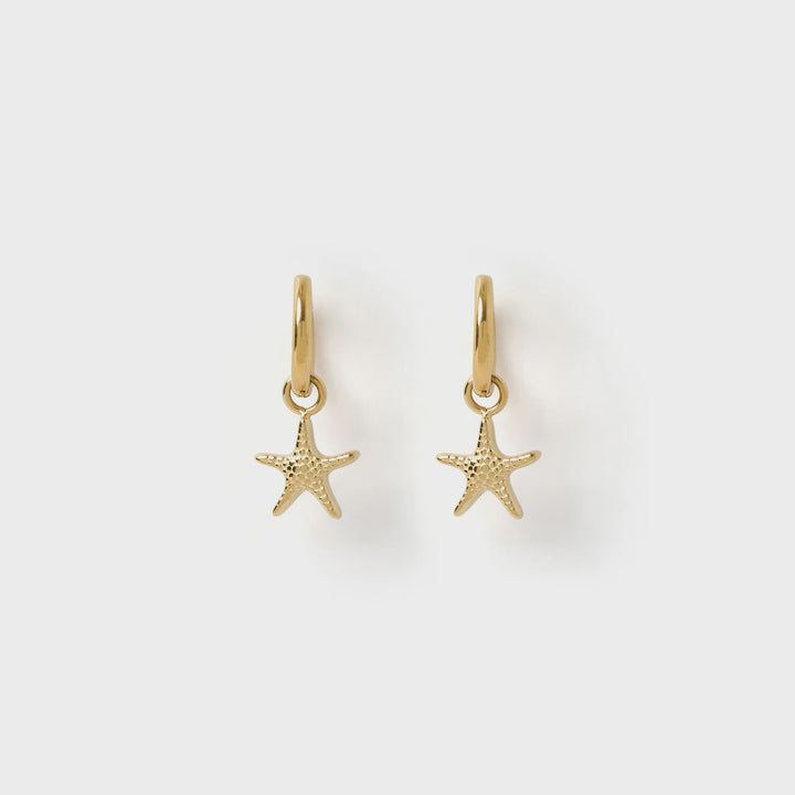 Arms Of Eve Sea Star Gold Earrings