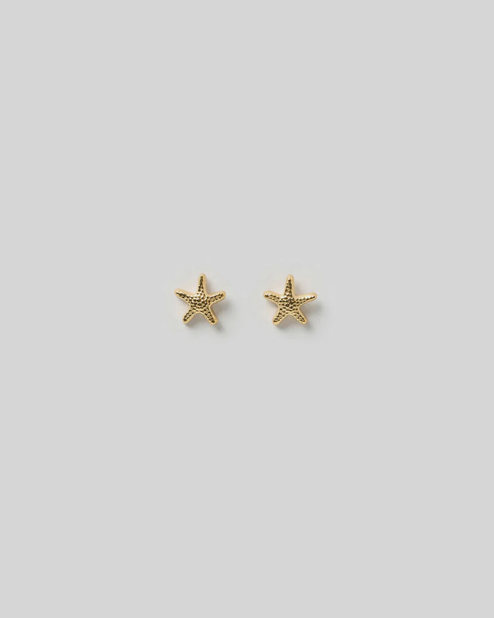 Arms Of Eve Starfish Gold Studs