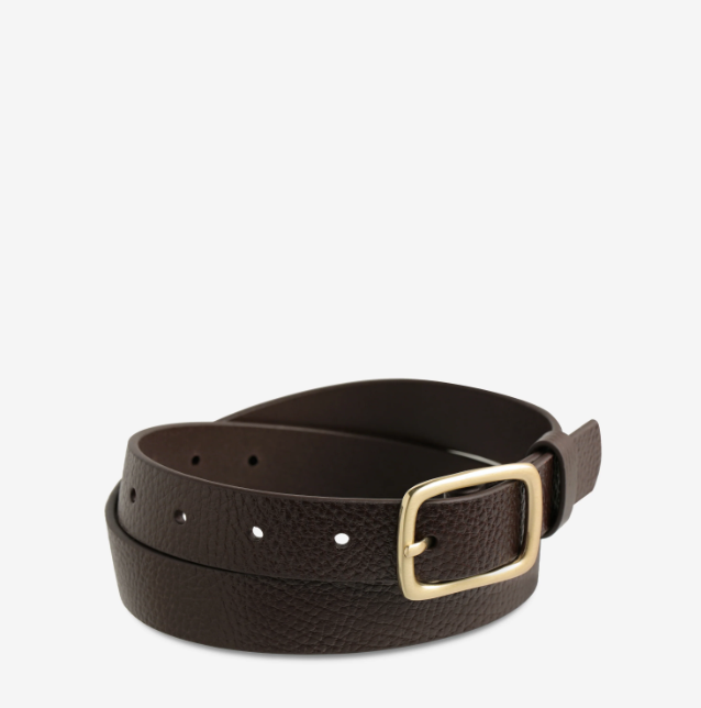 Status Anxiety Nobody's Fault Belt - Choc/Gold