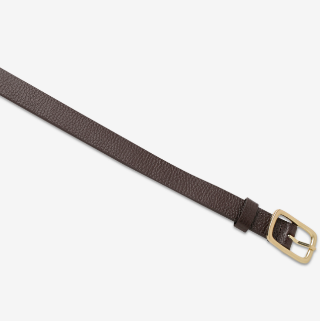 Status Anxiety Nobody's Fault Belt - Choc/Gold