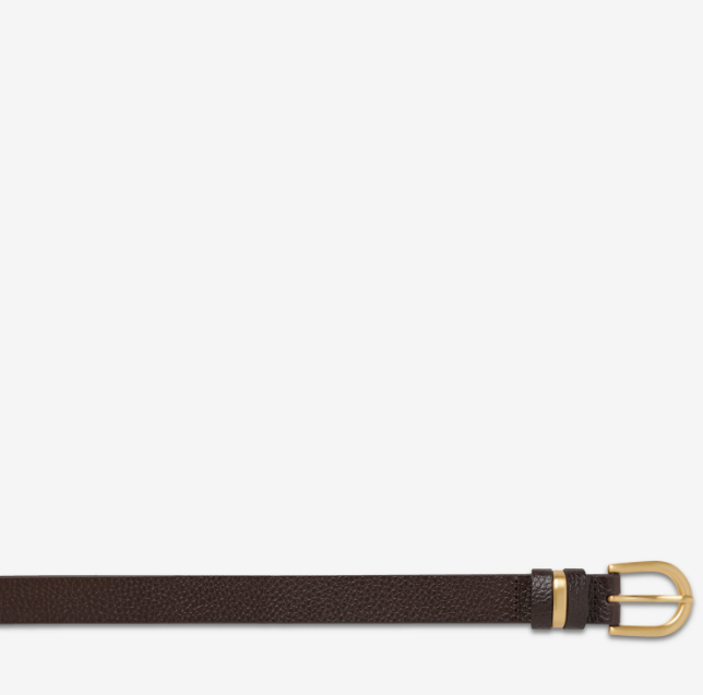 Status Anxiety Over And Over Belt - Choc/Gold