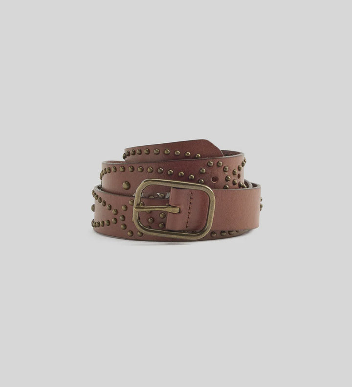 Levi's Studded Western Belt - Tobacco Brown