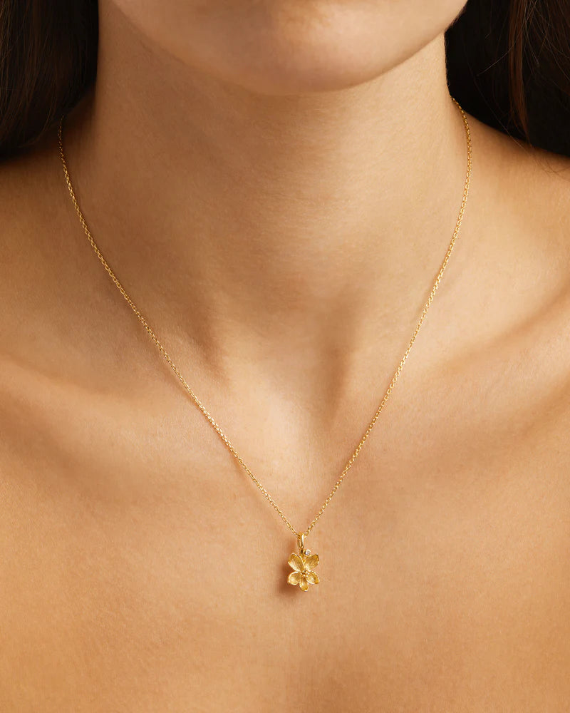 By Charlotte 18k Gold Vermeil Birth Flower Necklace - Violet February