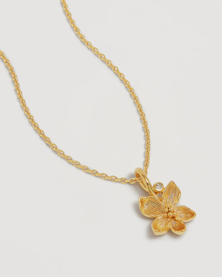 By Charlotte 18k Gold Vermeil Birth Flower Necklace - Violet February