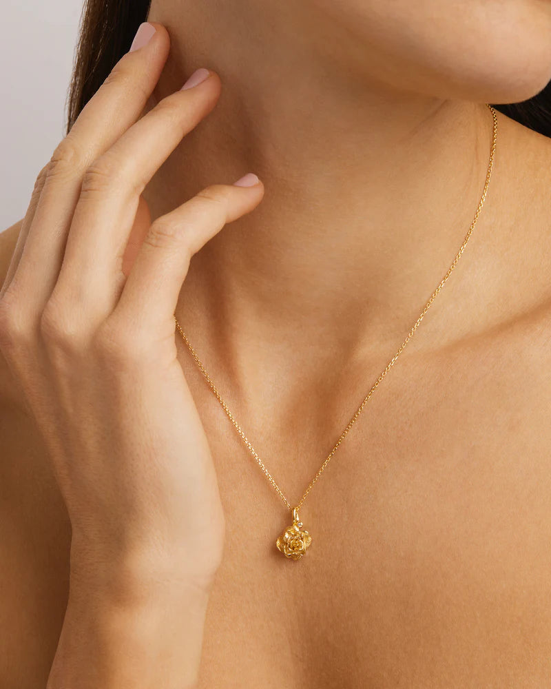 By Charlotte 18k Gold Vermeil Birth Flower Necklace - Rose June