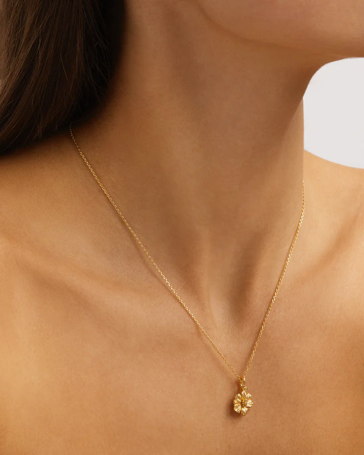By Charlotte 18k Gold Vermeil Birth Flower Necklace - Cosmos October