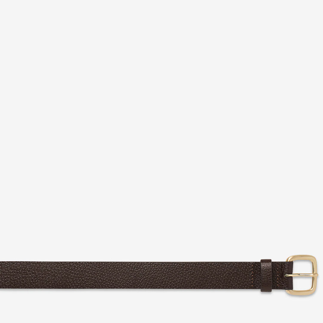 Status Anxiety Ease Up Belt - Choc/Gold