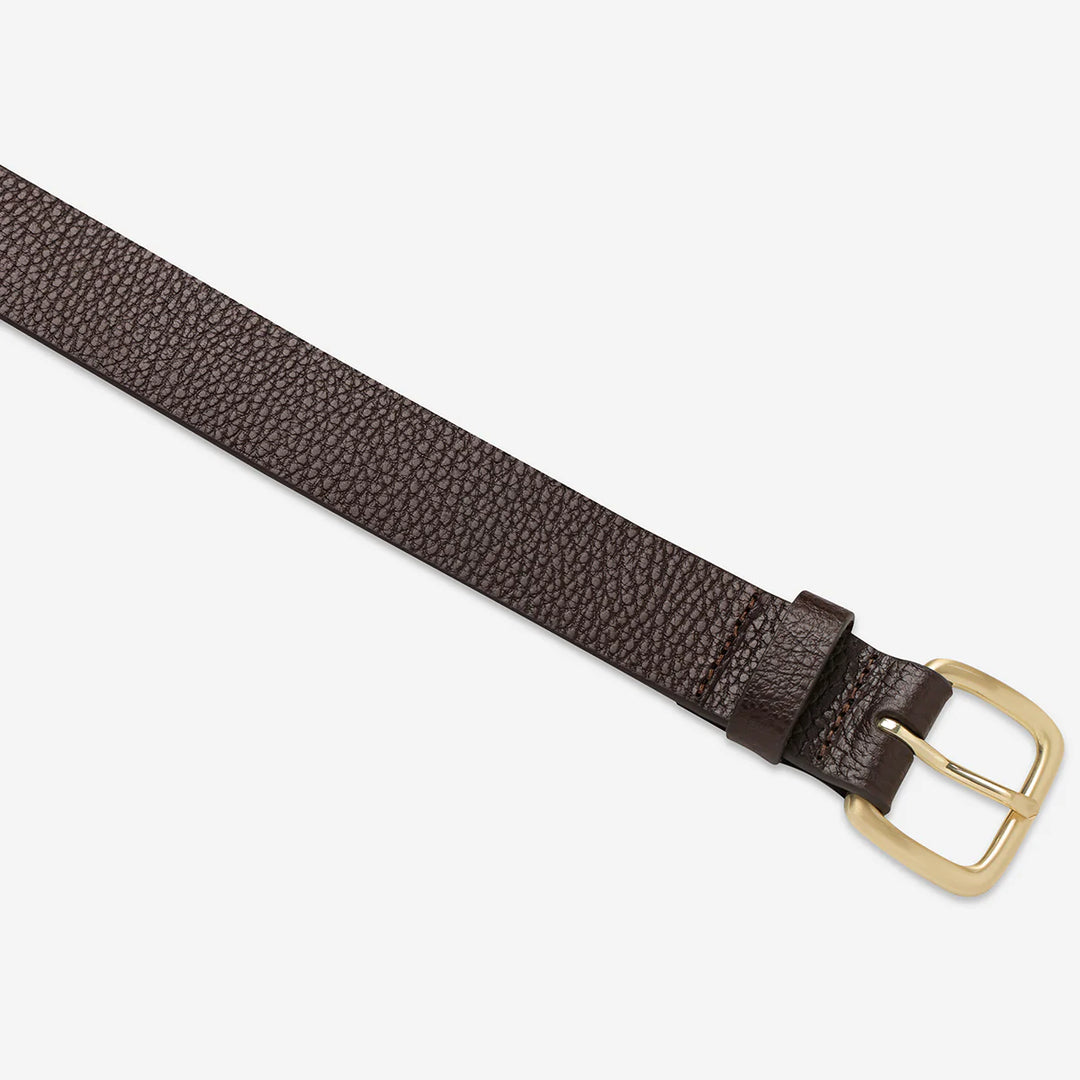 Status Anxiety Ease Up Belt - Choc/Gold
