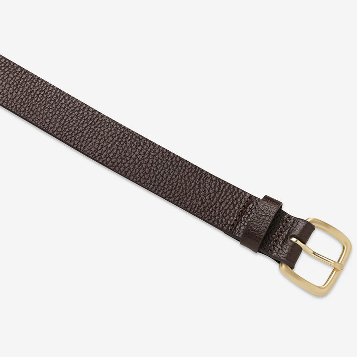 Status Anxiety Ease Up Belt - Choc/Gold
