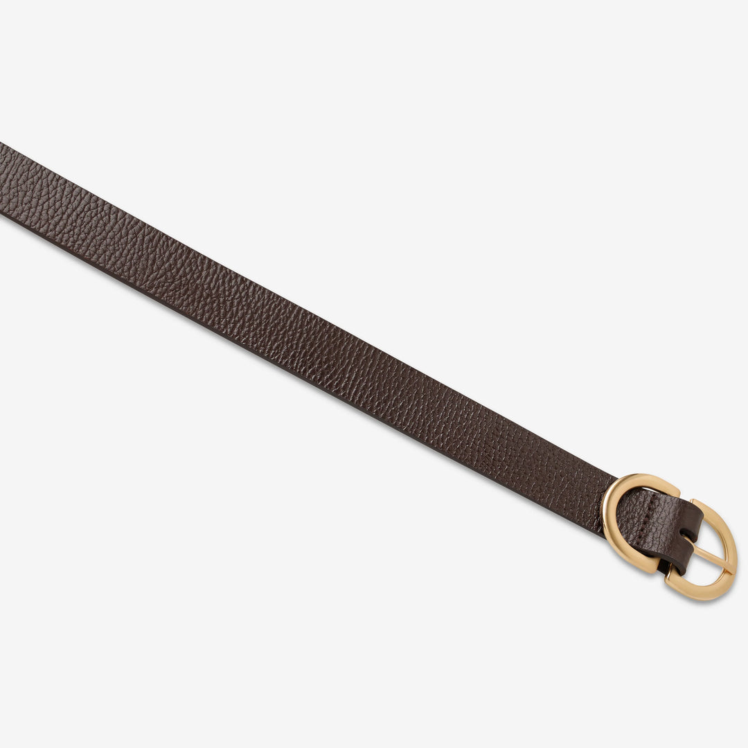 Status Anxiety In Reverse Belt - Chocolate/Gold