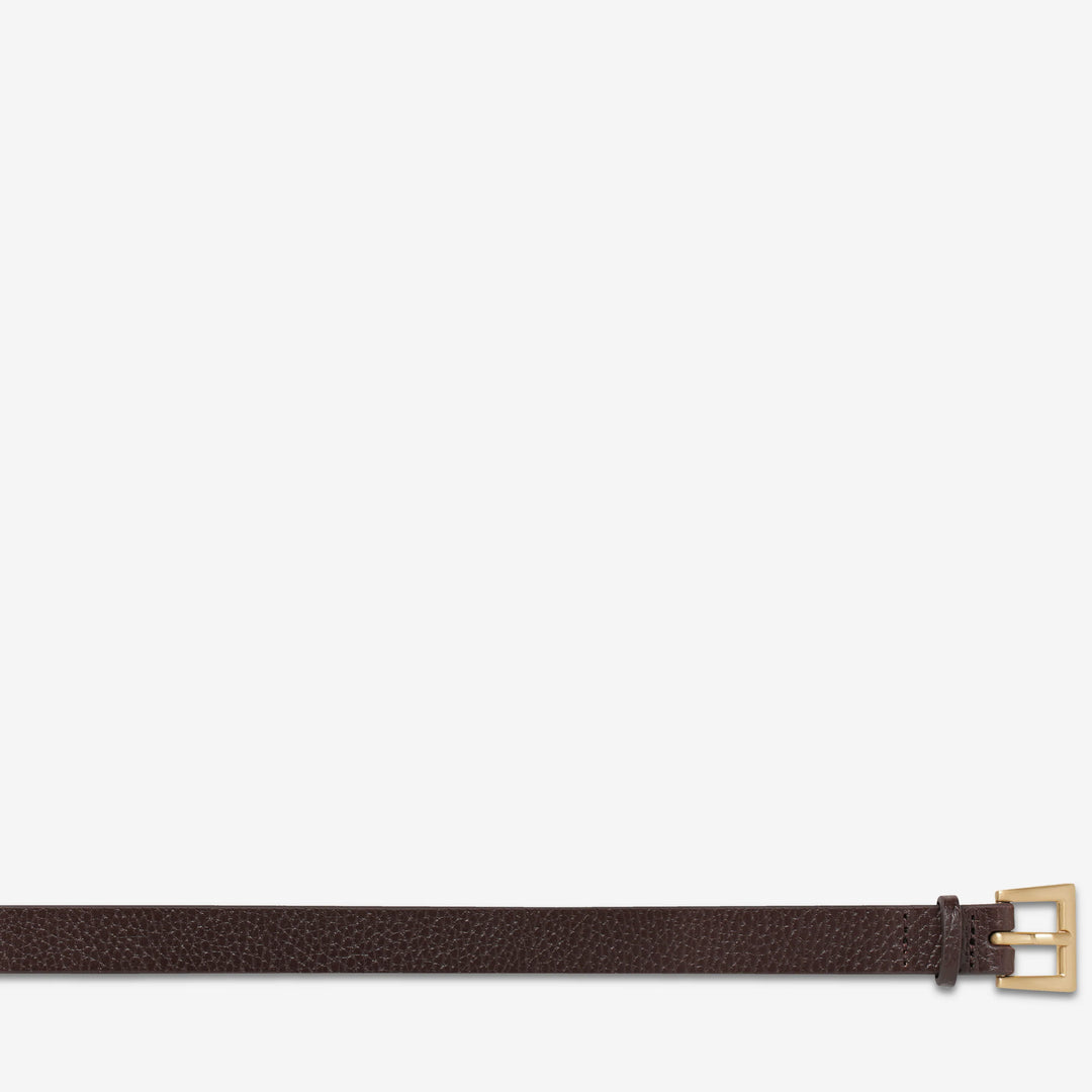 Status Anxiety Part Of Me Leather Belt - Choc/Gold