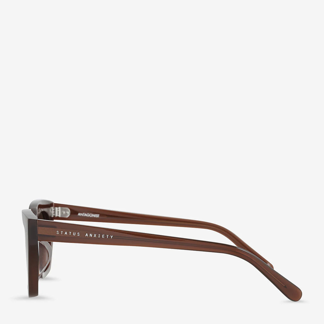 Status Anxiety Antagonist Sunglasses- Brown