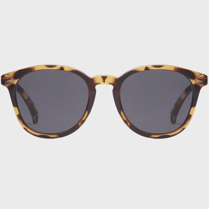 Bandwagon - Syrup Tort