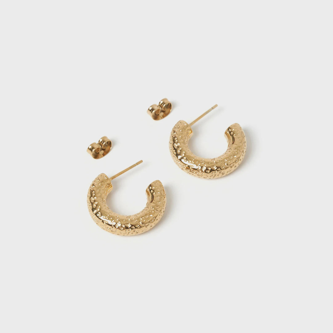 Arms Of Eve Osher Gold Hoop Earrings