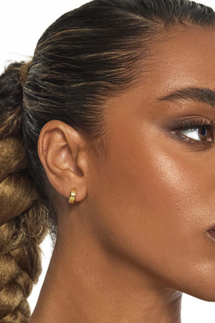 Astrid Small Hoop Earrings - Gold