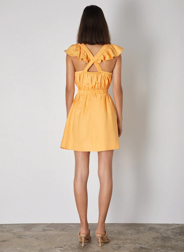 Ida Dress- Mango